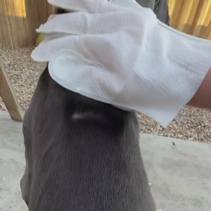 FurFresh Grooming Glove Wipes™